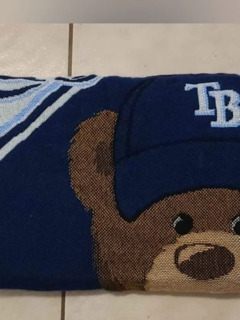 Blanket Tampa Bay Rays Teddy Bear Throw Blanket Navy Light Blue